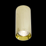 Потолочный светильник Maytoni Focus C010CL-01G