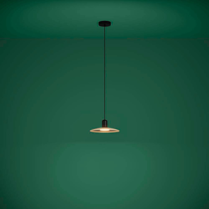 Подвесной потолочный светильник MAYAZES EGLO 39911