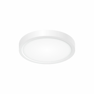 Светильник потолочный Citilux Бейсик CL738120N
