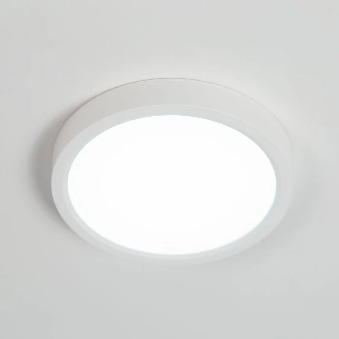 Светильник потолочный Citilux Бейсик CL738120N