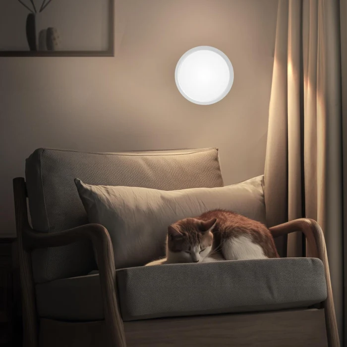 Светильник потолочный Citilux Бейсик CL738120N