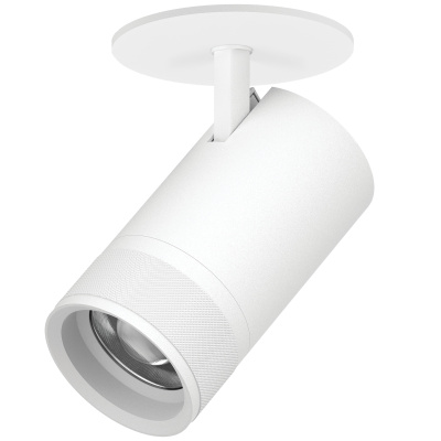 Встраиваемый спот Lightstar Canno pro C4406RS