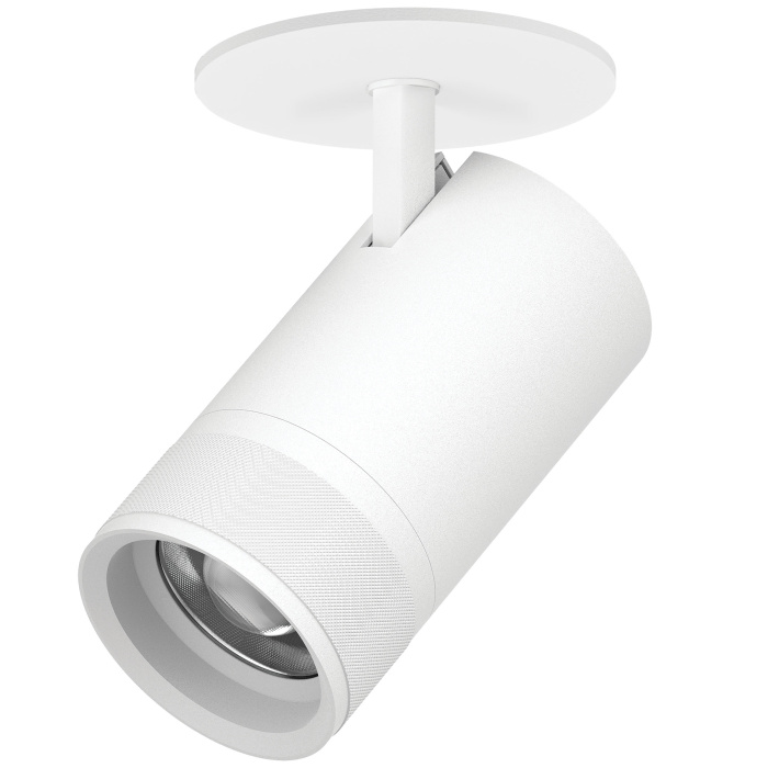 Встраиваемый спот Lightstar Canno pro C4406RS