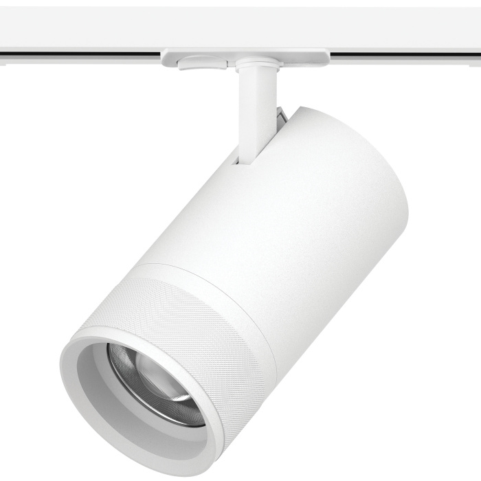 Трековый светильник Lightstar Canno pro C4406SS