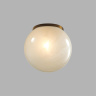 Потолочный светильник Odeon Light Magia 7109/1CA