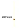 Настенный светильник Odeon Light Fillini 4335/18WGP