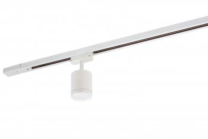 Светильник на шине Denkirs SOLID Ribe DK6401-WH