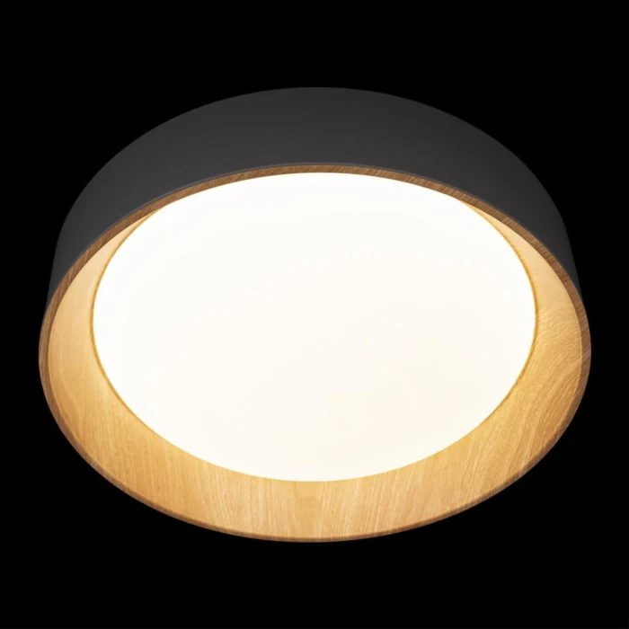 Потолочный светильник Loft it Coin 10202 Grey
