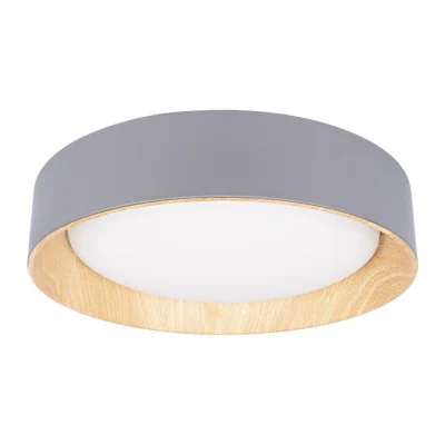Потолочный светильник Loft it Coin 10202 Grey