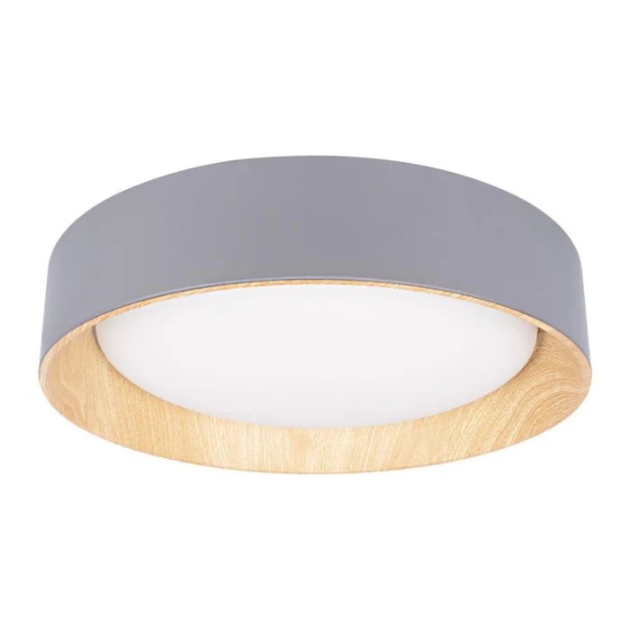 Потолочный светильник Loft it Coin 10202 Grey