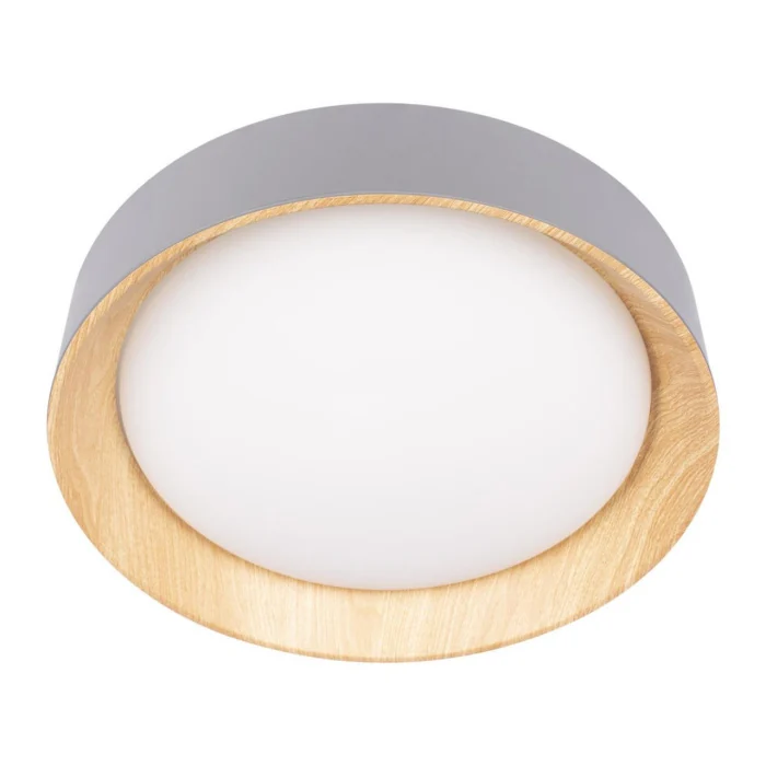 Потолочный светильник Loft it Coin 10202 Grey