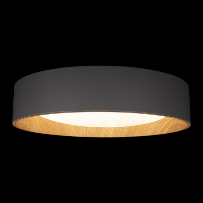 Потолочный светильник Loft it Coin 10202 Grey