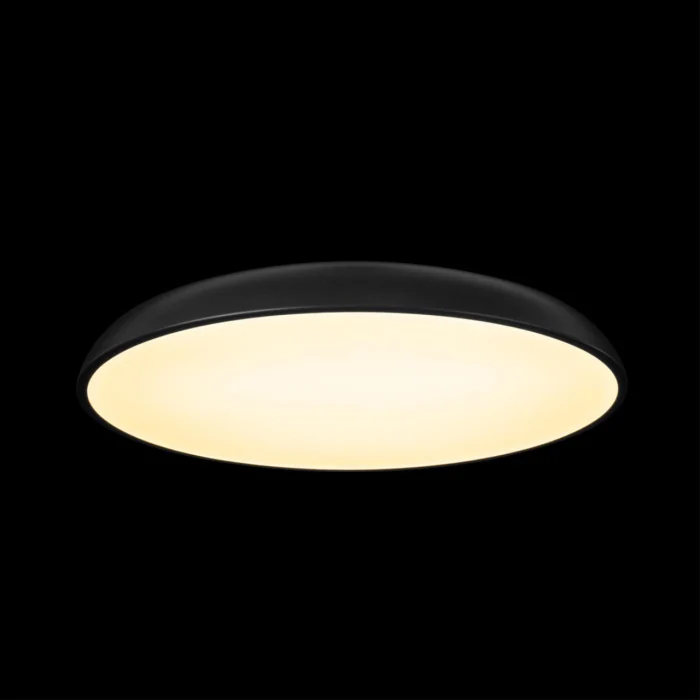 Потолочный светильник Loft it Dime 10371 Black