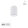 Накладной светильник Arte Lamp IMAI A2267PL-1WH