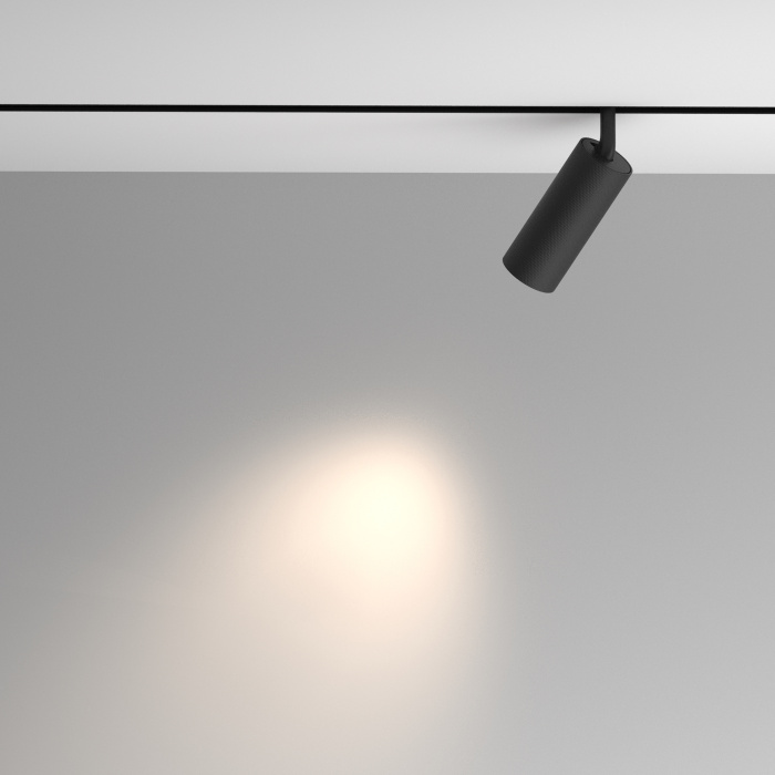 Трековый светильник Maytoni Artisan TR097-2-12W4K-M-BB