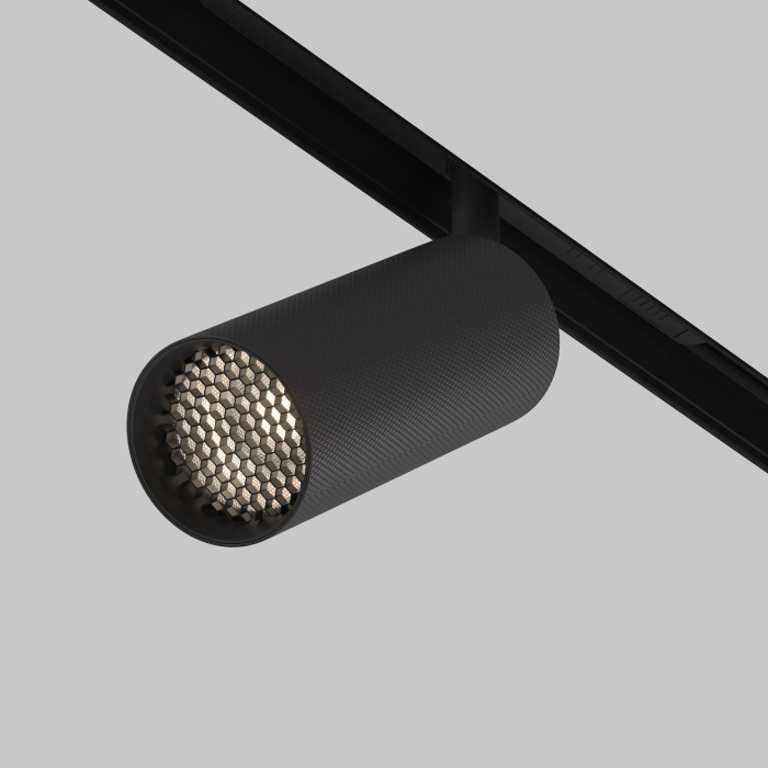 Трековый светильник Maytoni Artisan TR097-2-12W4K-M-BB