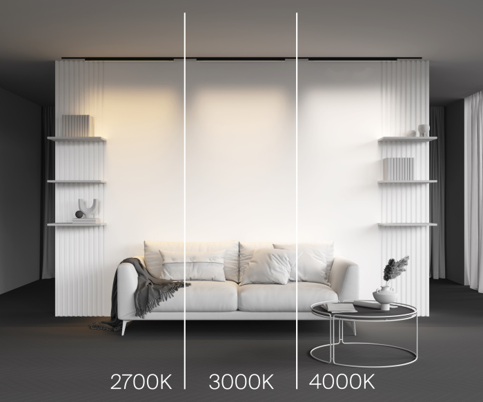 Трековый светильник Maytoni Basis TR192-1-21W4K-B