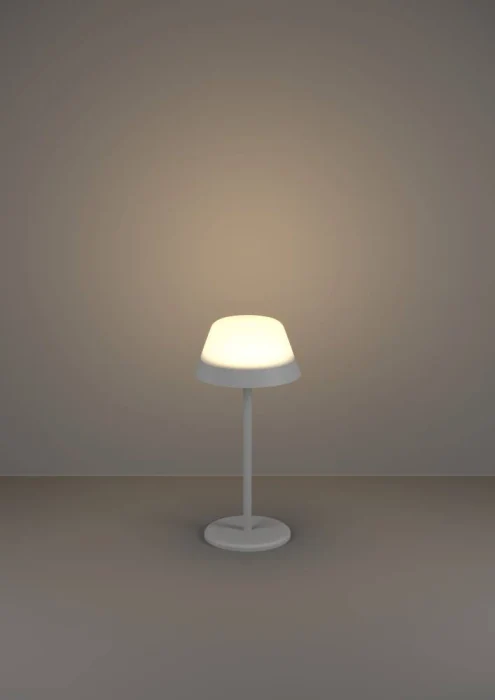 Настольная лампа EGLO MEGGIANO 900978