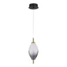 Подвесной светильник ST LUCE ICE SL6130.403.06