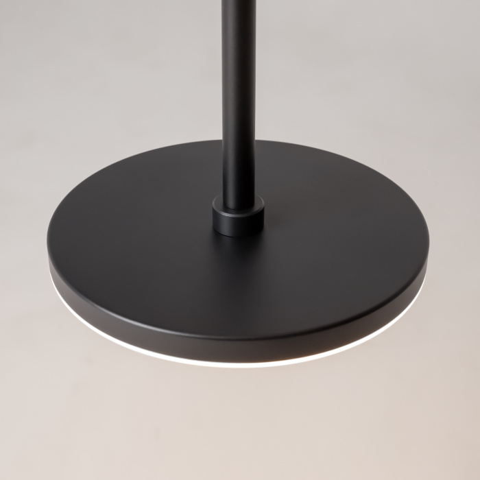 Подвесной светильник Maytoni Plato P076PL-L12W4K-B