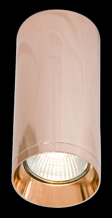 Потолочный светильник Maytoni Focus C010CL-01RG