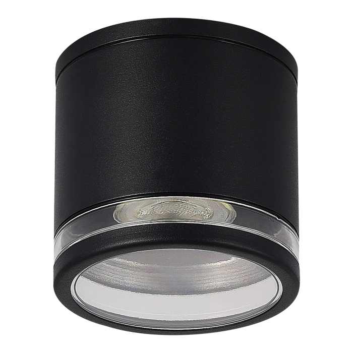 Светильник уличный потолочный ST-Luce черный/белый GU10 1*50W SL9009.402.01