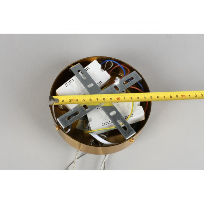 Люстра подвесная Aployt Leon APL.028.03.102