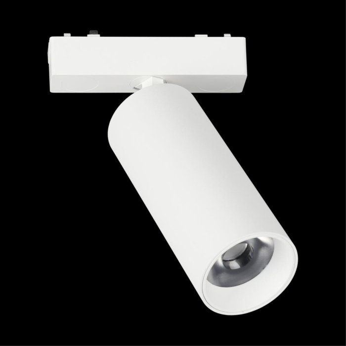 Светильник трековый Aployt Magnetic track 48 APL.0114.10.18