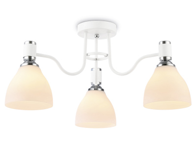 Потолочный светильник Ambrella light TR303302