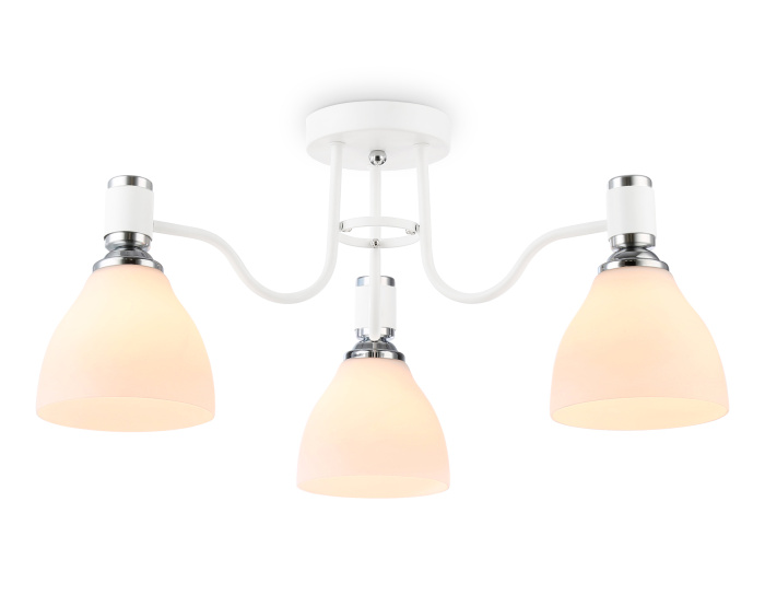 Потолочный светильник Ambrella light TR303302