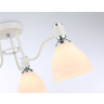 Потолочный светильник Ambrella light TR303302