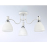 Потолочный светильник Ambrella light TR303302