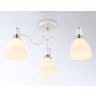 Потолочный светильник Ambrella light TR303302