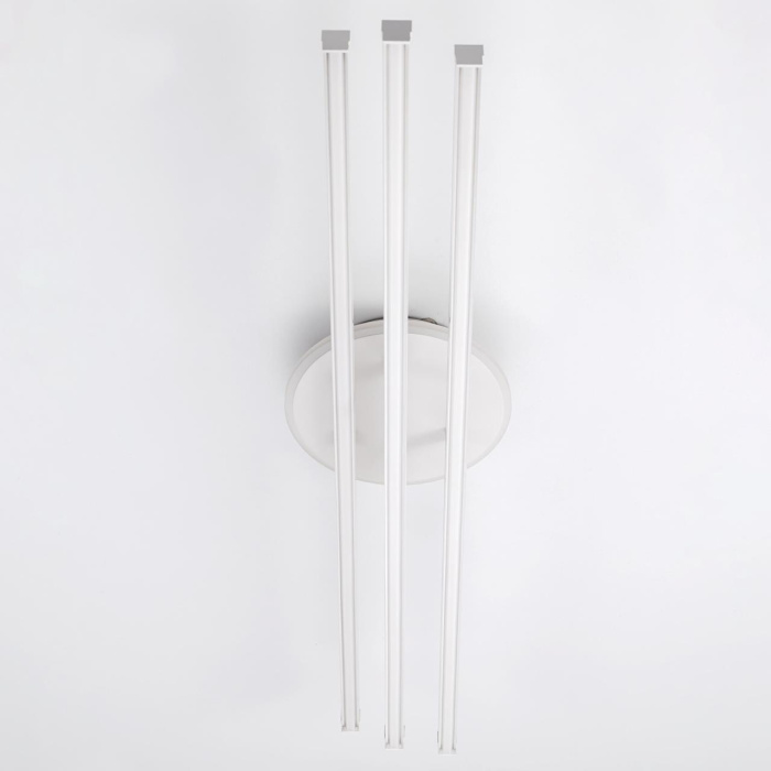 Светильник потолочный Citilux Trent CL203630