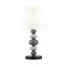 Настольная лампа Odeon Light Sochi 4896/1T