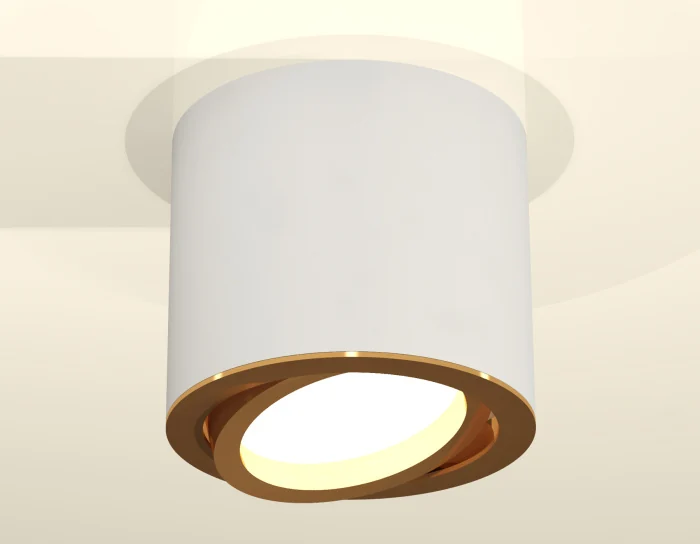 Комплект накладного поворотного светильника Ambrella light XS7401004