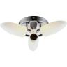 Люстра потолочная Arte Lamp AQUA A9502PL-3CC