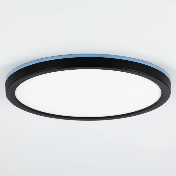 Светильник потолочный Citilux Basic Line CL738241EL