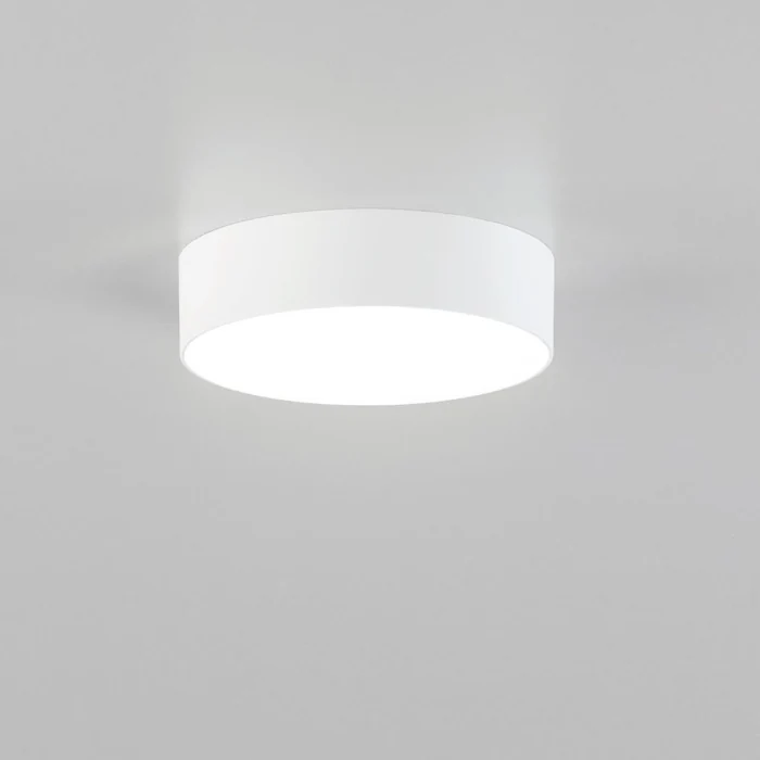Светильник потолочный Citilux Тао CL712120N