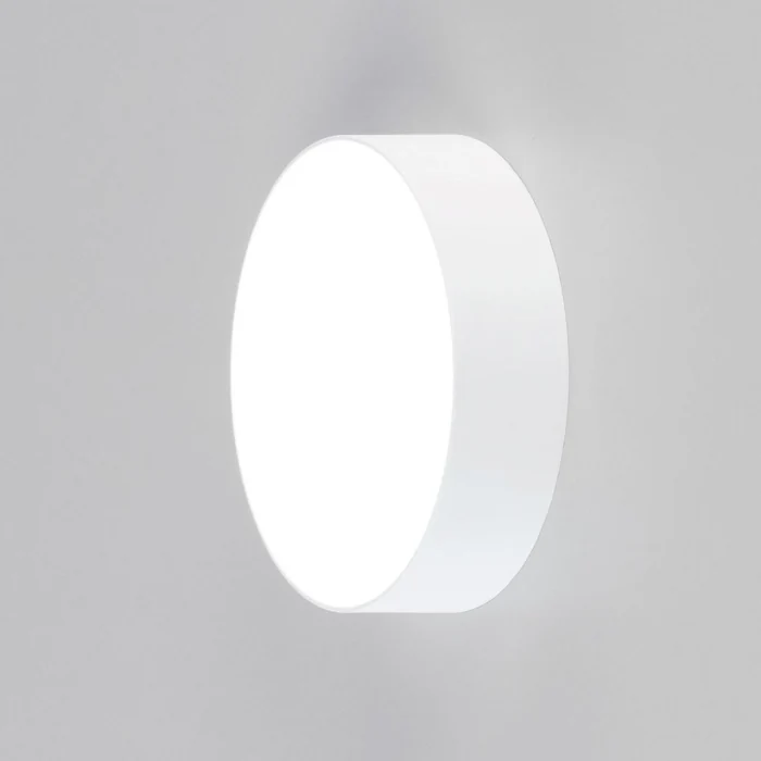 Светильник потолочный Citilux Тао CL712120N