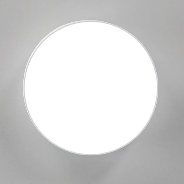 Светильник потолочный Citilux Тао CL712120N