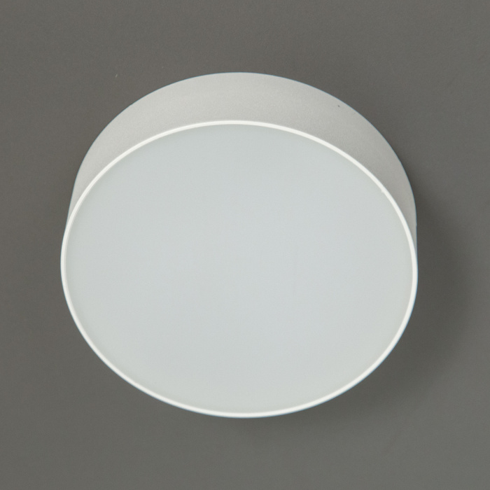 Светильник накладной Citilux Тао CL712120N