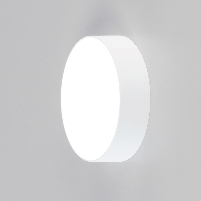 Светильник накладной Citilux Тао CL712120N