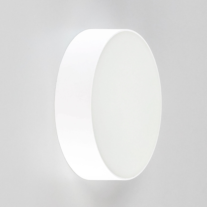 Светильник накладной Citilux Тао CL712120N