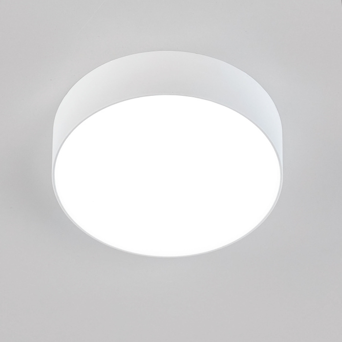 Светильник накладной Citilux Тао CL712120N