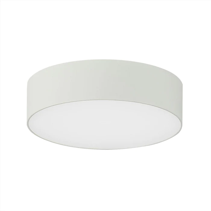 Светильник накладной Citilux Тао CL712120N