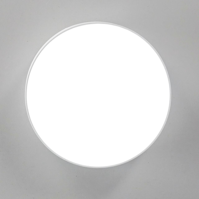 Светильник потолочный Citilux Тао CL712120N