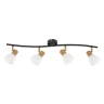 Спот Arte Lamp FALENA A3117PL-4BK
