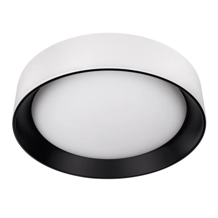 Потолочный светильник Loft it Coin 10202 WB