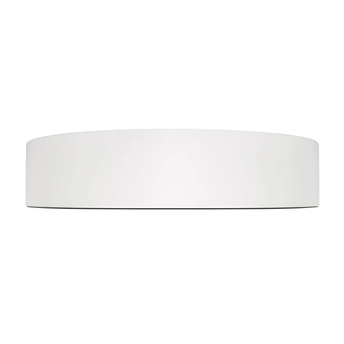 Потолочный светильник Loft it Coin 10202 WB